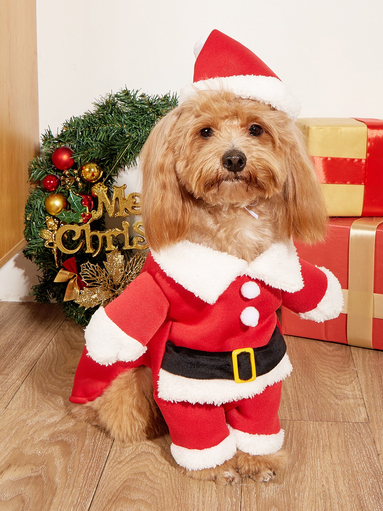 Costume de Noël pour petit chien