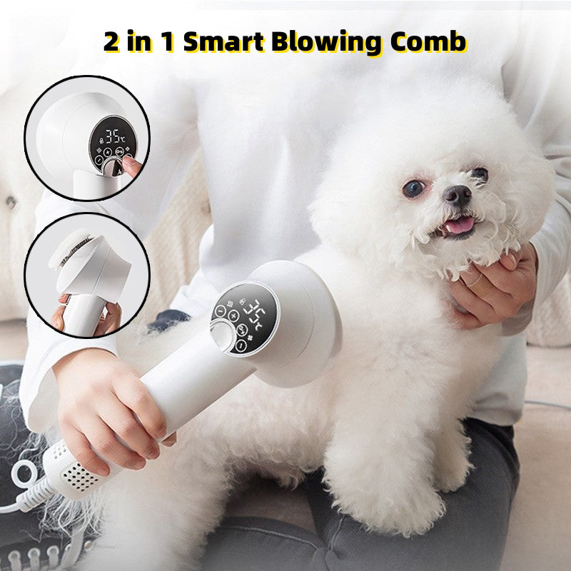 Smart Hårtork för sällskapsdjur Hund Golden Retriever Katt Grooming Frisör Blow & Comb Tyst No Harm Husdjursrengöringstillbehör Husdjursprodukter
