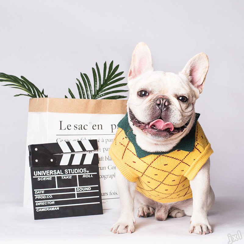 Chien de bouledogue