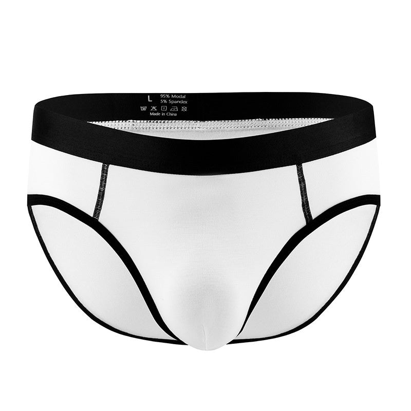 Men's Panties Low Waist Briefs
