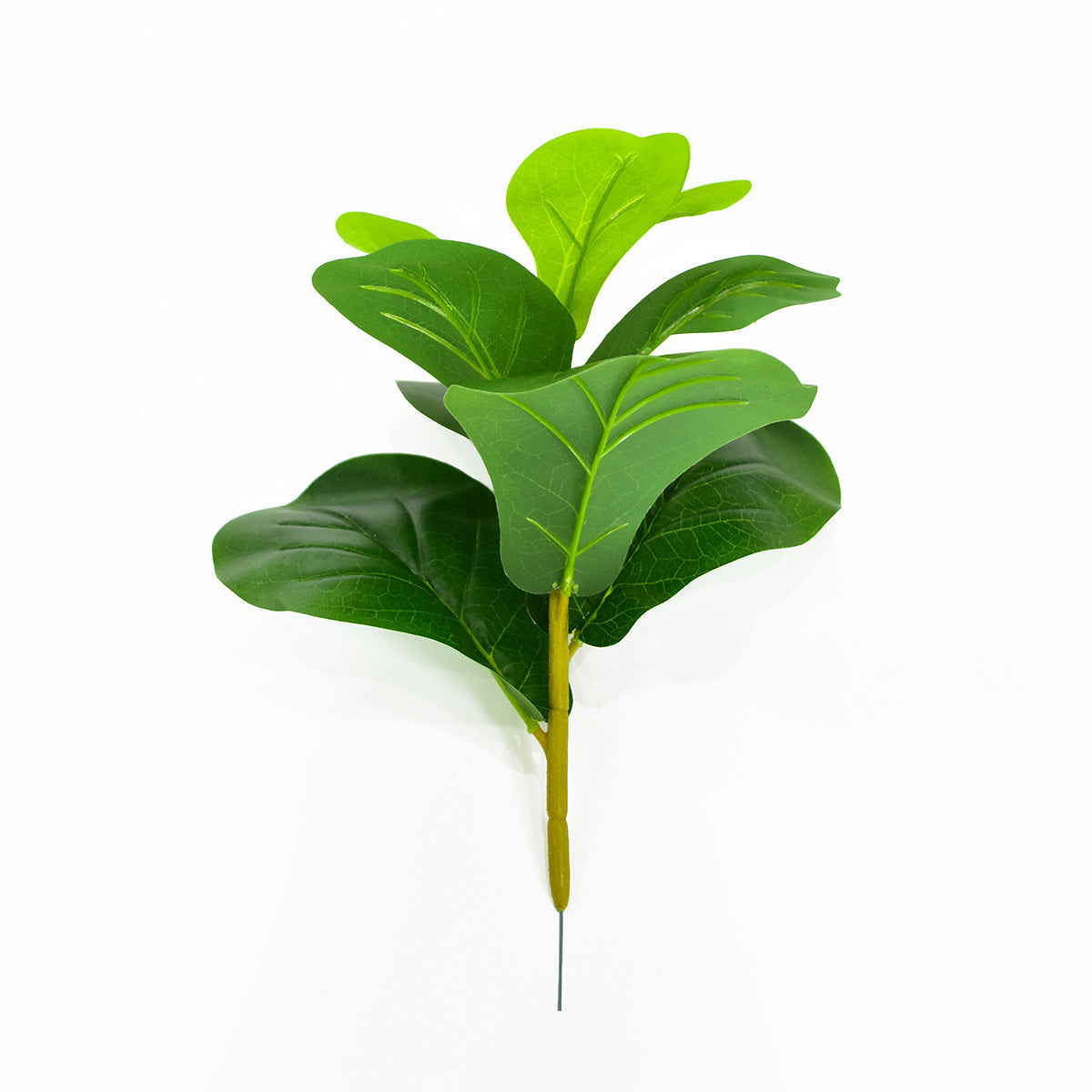 Nordic Style Potted Plants And Green Plants For Home Decoration