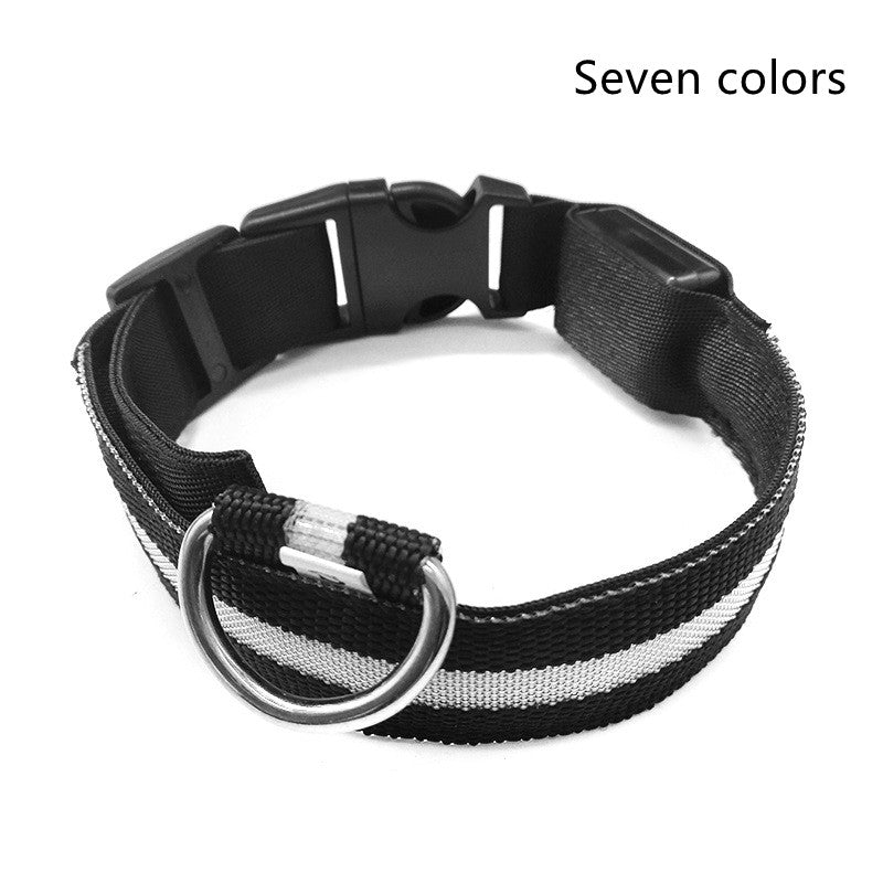 Collier lumineux LED en Nylon pour chien et chat, sécurité nocturne, clignotant, brille dans la nuit, laisse réglable, fournitures pour animaux de compagnie