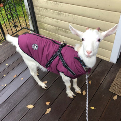 Vattentät hundkläder Vinterhundkappa med sele Varma husdjurskläder Stor hundjacka Chihuahua Labrador Kappa Kostym