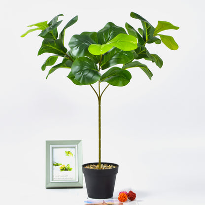 Nordic Style Potted Plants And Green Plants For Home Decoration