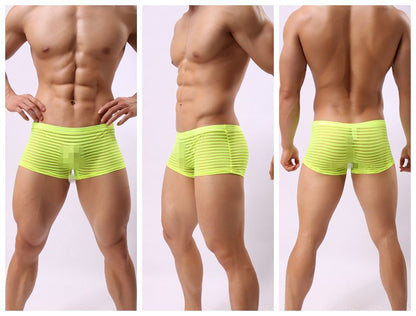 Striped Transparent Boxers For Men