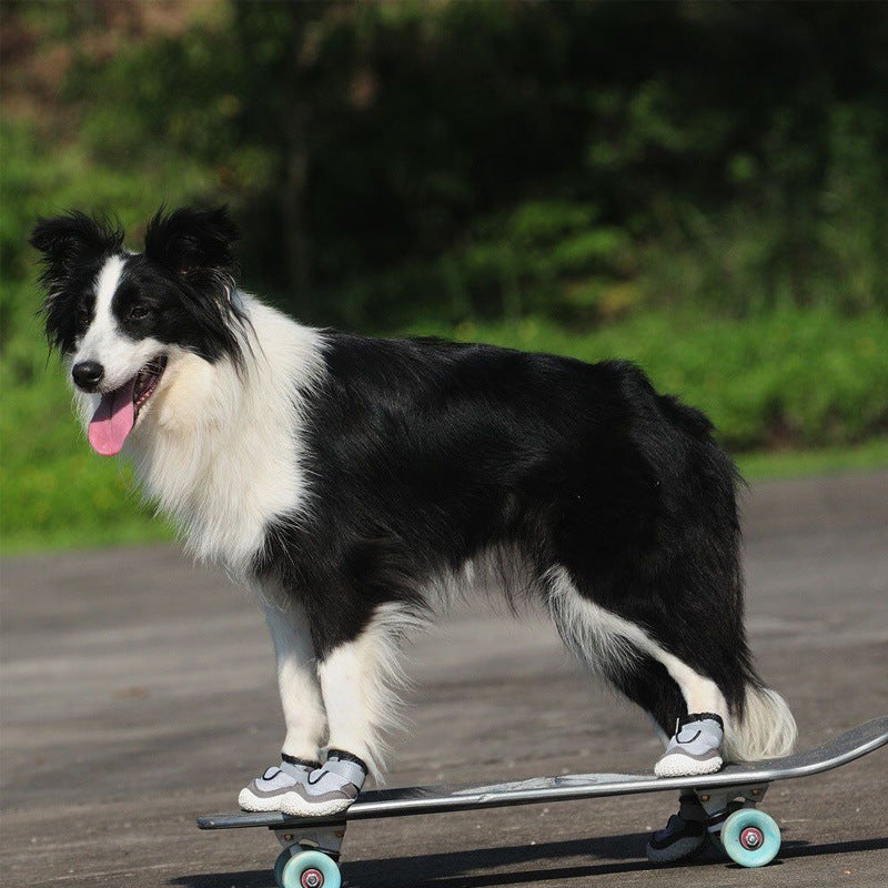 Chaussures pour animaux de compagnie résistantes à l'usure et respirantes pour gros chien