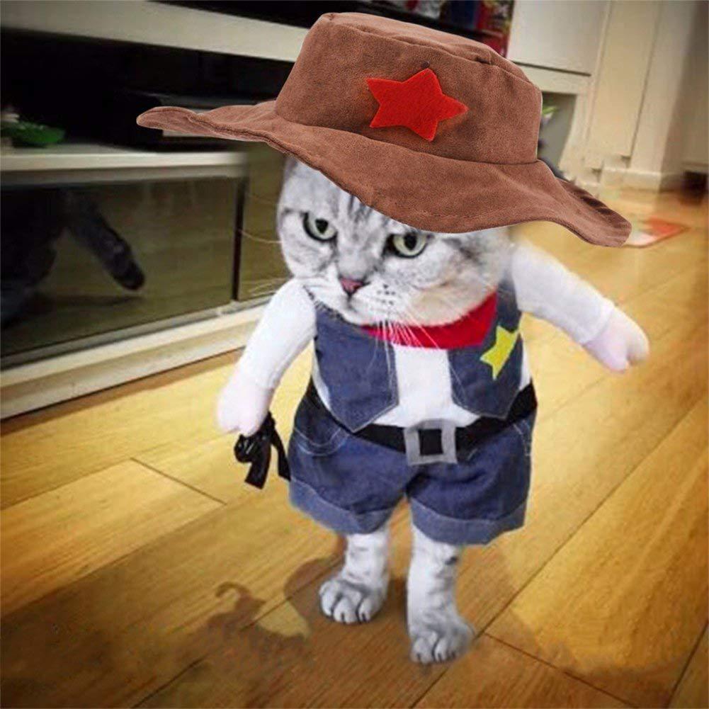 Pet denim costume