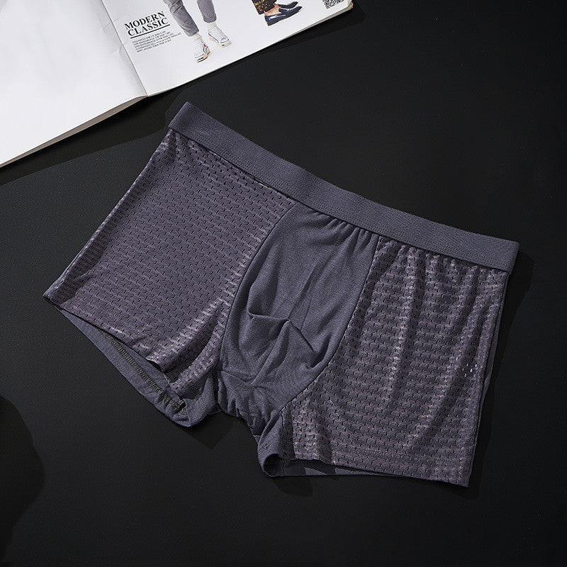 Silky mesh boxer briefs