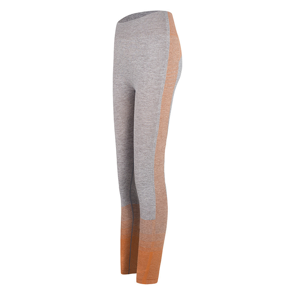 Leggings de gymnastique taille haute pour femmes, pantalons de Yoga tricotés pour entraînement et course à pied