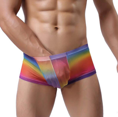 Men's Boxer Gauze Transparent Men's Panties Rainbow Gradient Slipper Sexy See Through Men's Underwear Cuem Homemmen Boxer Shorts