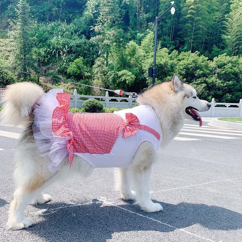 Hundkläder Prinsessan Hunddräkt Labrador Golden Retriever Stora hundkläder