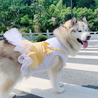 Hundkläder Prinsessan Hunddräkt Labrador Golden Retriever Stora hundkläder