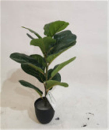 Holiday Entertainment: Simulation Plant Qin Yerong Living Room Decoration