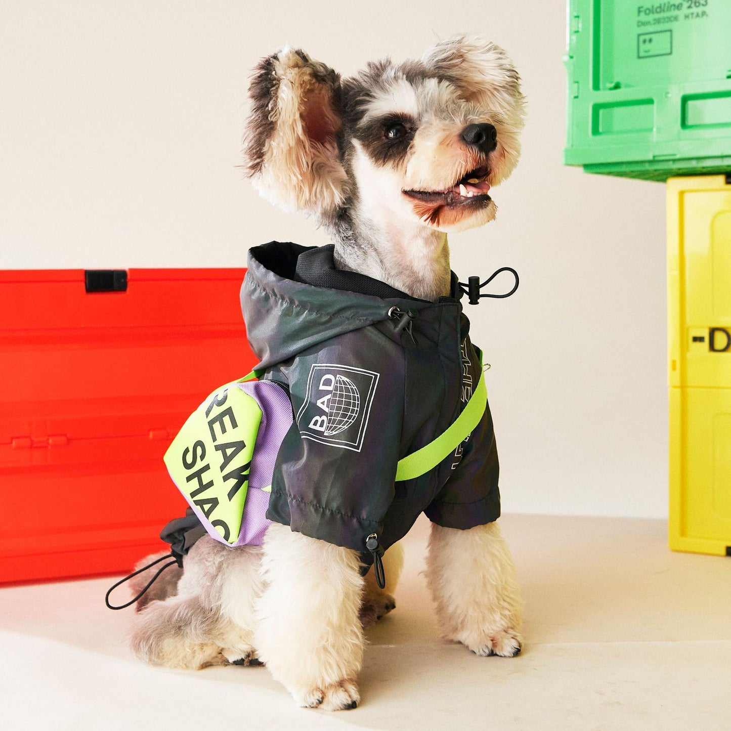 Vêtements pour chiens Vêtements d'automne