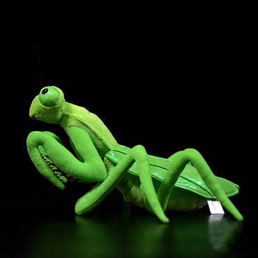Lifelike Mantis Plush Toys - Cuddly Stuffed Animals for Kids