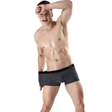 Antarctic Men's Underwear Zhongshan Underwear