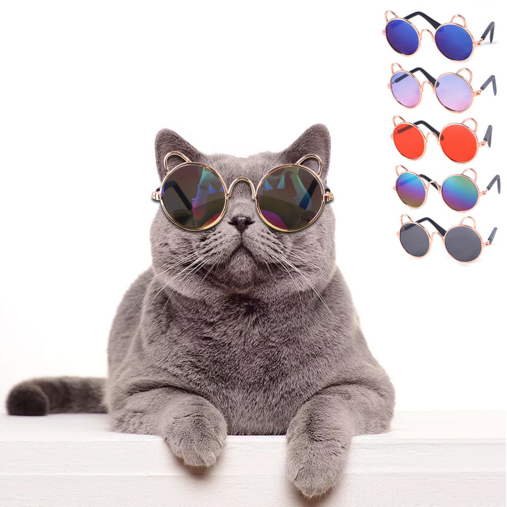 Cat Cute Sunglasses Dog Teddy Sunglasses