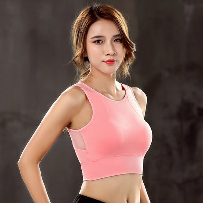 979cf55f64a110ccebd63671be6cc224