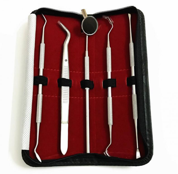 Ensemble d'outils dentaires en acier inoxydable, grattoir à dents, sculpture de cire, Kit d'outils de dentiste, pics de sonde Explorer, nettoyage des dents miroir, soins bucco-dentaires, 5 pièces