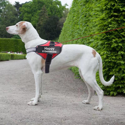 Harnais pour chien respirant et réfléchissant personnalisé, harnais réglable pour animaux de compagnie, sans traction, pour petit et grand chien, gilet avec Patch