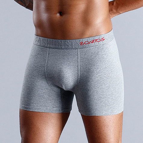 Boxers en coton pour hommes, caleçons Sexy, sous-vêtements pour garçons