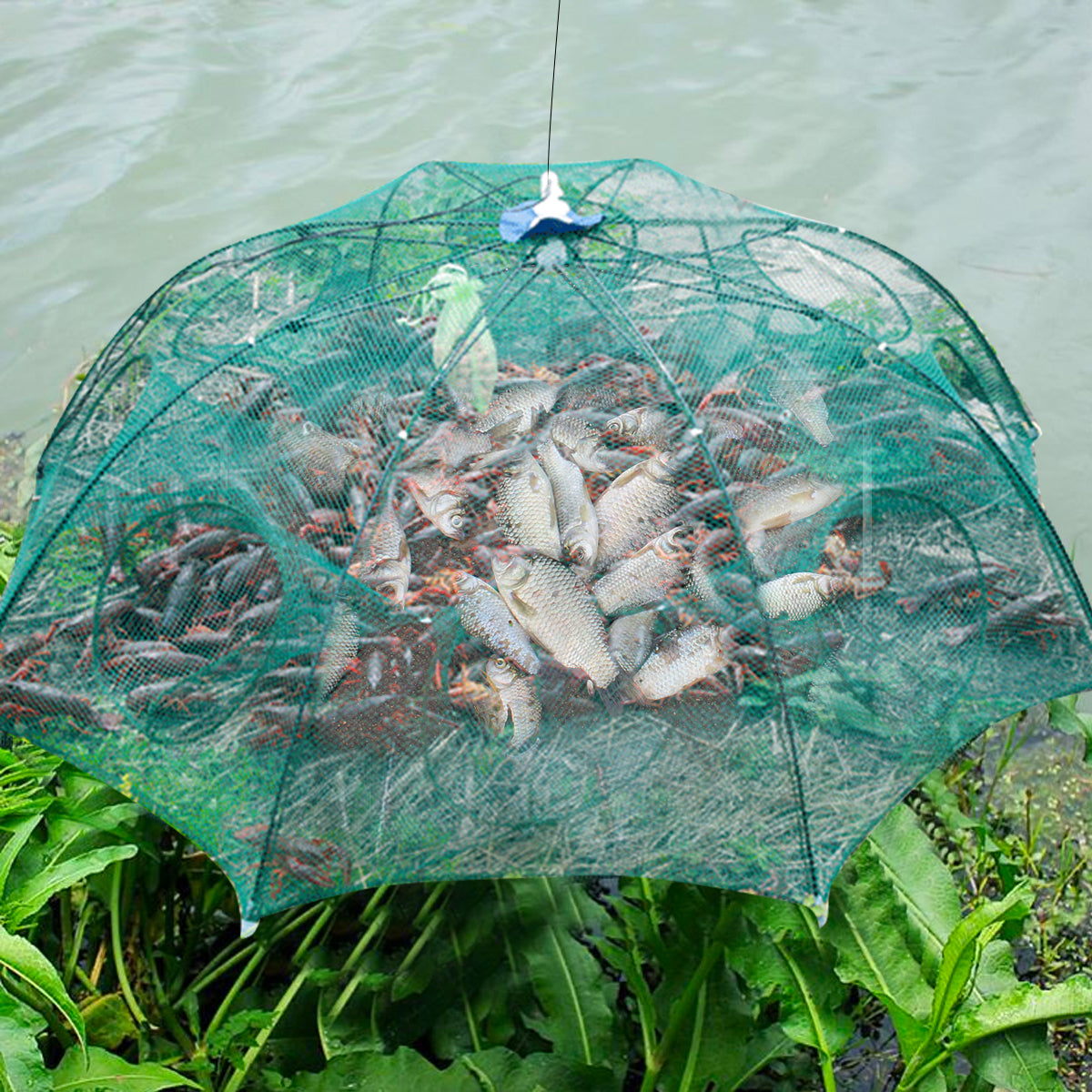 Filet de pêche automatique renforcé, Cage à crevettes, piège à poisson pliable en Nylon, filet moulé pliable, piège à crabe, réseau de pêche, 4 à 20 trous