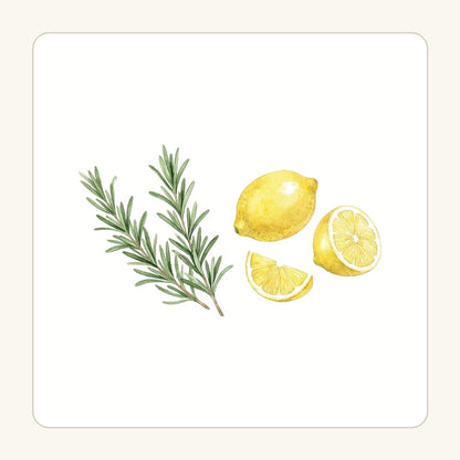 Rosmarin och citron – transparent PNG-motiv (clipart)