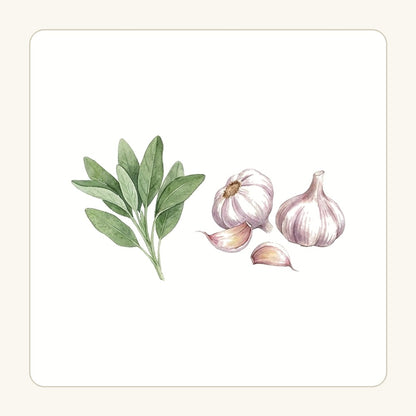 Salvia och vitlök – transparent PNG-motiv (clipart)