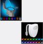 Toilet Induction LED Night light