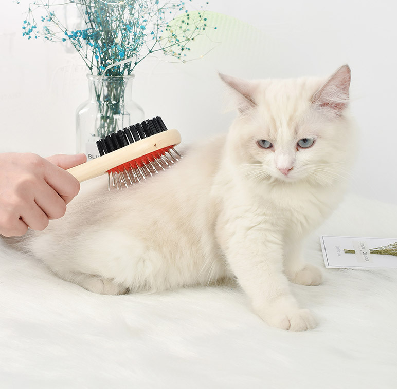 Peigne à aiguilles en acier inoxydable, brosse d'épilation et d'épilation