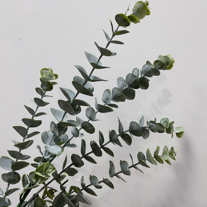 Holiday Entertainment: Green Plants Decoration