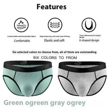 Men's Panties Low Waist Briefs
