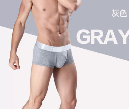 Men's Underwear Boxers Modal Breathable Boxer