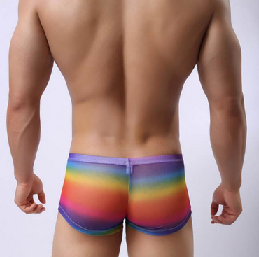 Boxer homme gaze transparente culotte homme arc-en-ciel dégradé pantoufle Sexy voir à travers les sous-vêtements masculins Cuem Homemmen Boxer Shorts