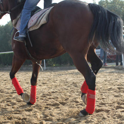 Sangles de jambe de cheval, enveloppes de jambe, ensemble de bandages de jambe