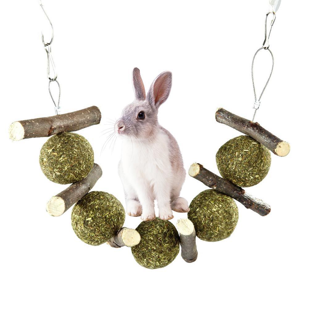 Pet Molar Supplies - Natural Dental Care for Pets
