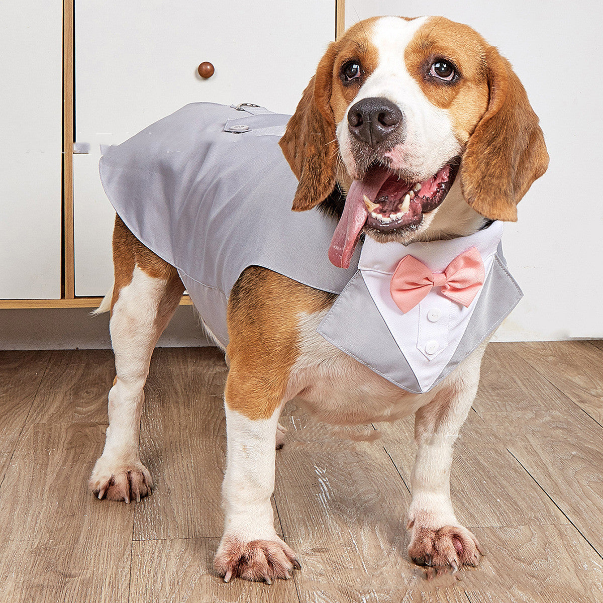 Dog Pet Swallowtail Wedding Clothing Suit Jacket