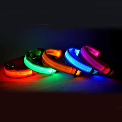 Collier lumineux LED en Nylon pour chien et chat, sécurité nocturne, clignotant, brille dans la nuit, laisse réglable, fournitures pour animaux de compagnie