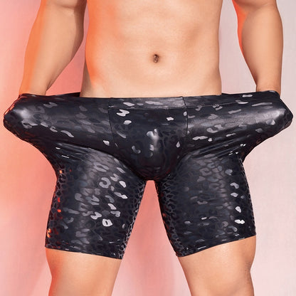 Men's Passion Sexy Underwear