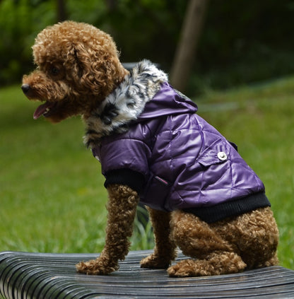 Gränsöverskridande husdjursförnödenheter husdjurskläder hundkläder höst och vinter pälskrage päls hundkläder