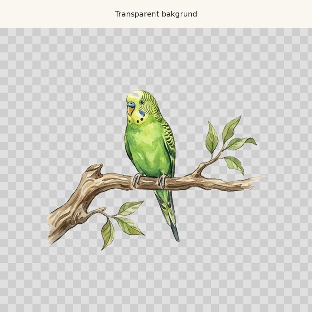 Undulat på gren – transparent PNG-motiv (clipart)