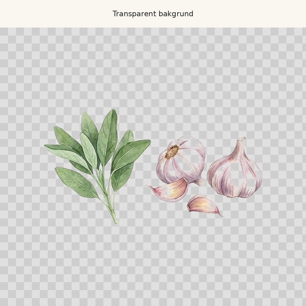 Salvia och vitlök – transparent PNG-motiv (clipart)