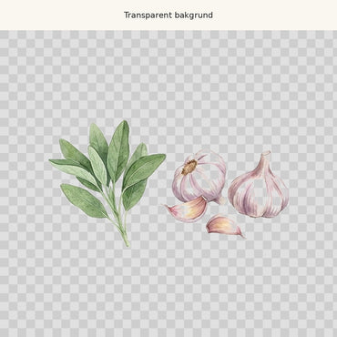 Salvia och vitlök – transparent PNG-motiv (clipart)