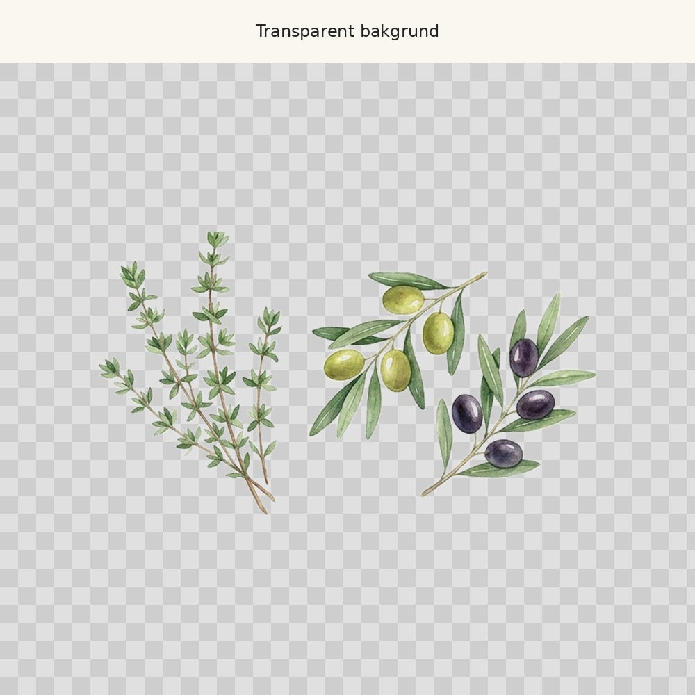 Timjan och oliver – transparent PNG-motiv (clipart)
