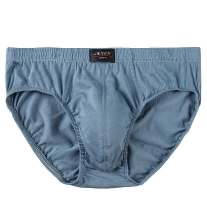 Men's Briefs Cotton Underwear