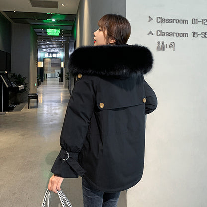Windbreaker Women's New Winter Coat - Polyester Fiber Long Sleeve Weather Protection