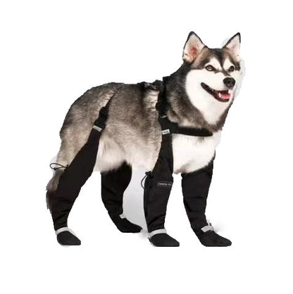 Pet Supplies Anti-dirty Dog Shoelace Reflective Stripe