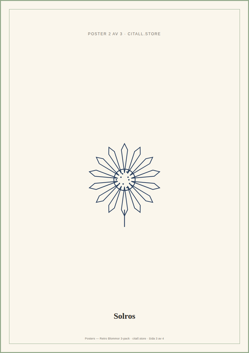 Posters — Retro Blommor 3-pack — 149 kr