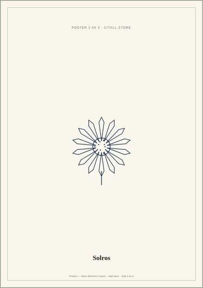 Posters — Retro Blommor 3-pack — 149 kr