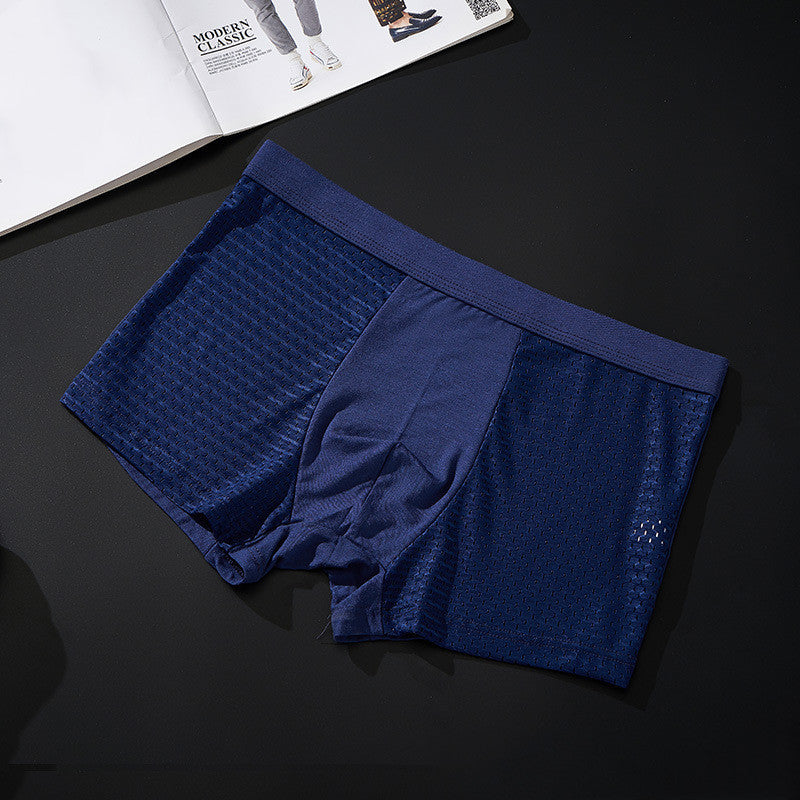 Silky mesh boxer briefs